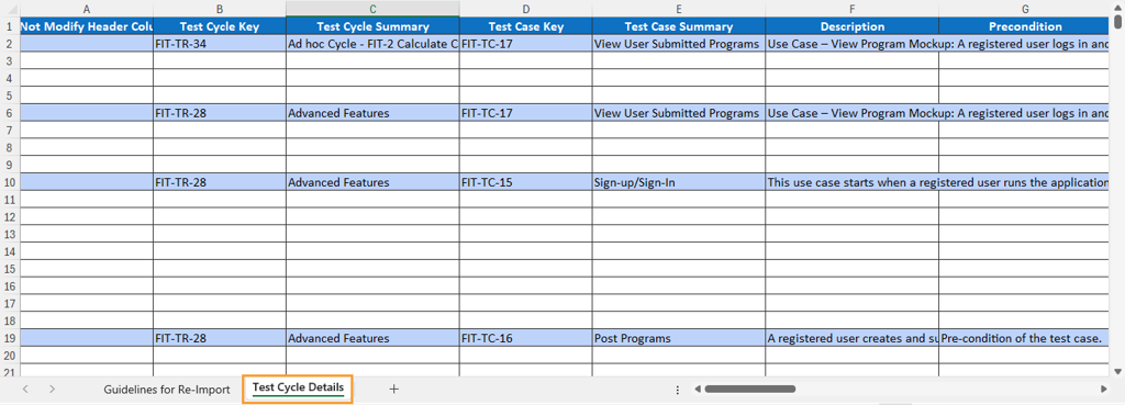 Excel File Containing Test Cycles