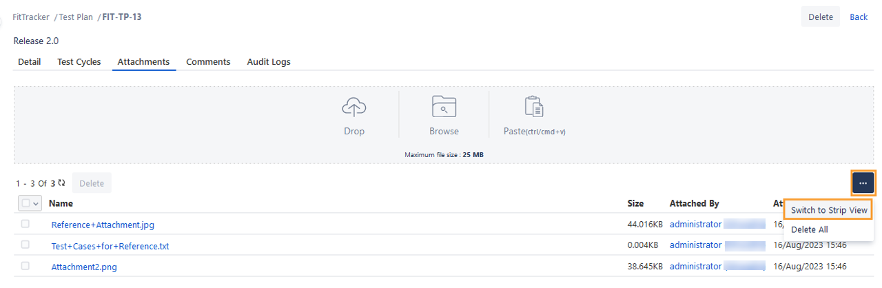 Test Plan Attachment Switch to Strip View