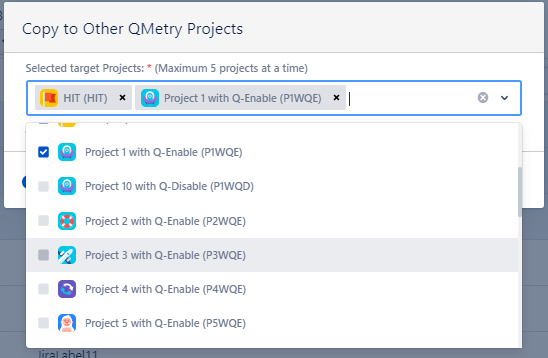 Copy to Other Projects